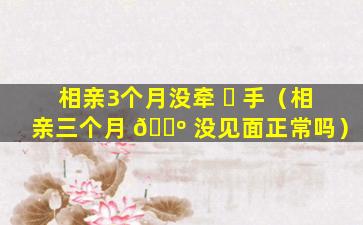 相亲3个月没牵 ☘ 手（相亲三个月 🌺 没见面正常吗）